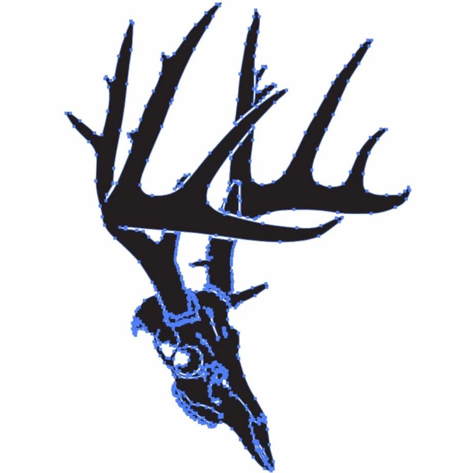 Digital Source Files